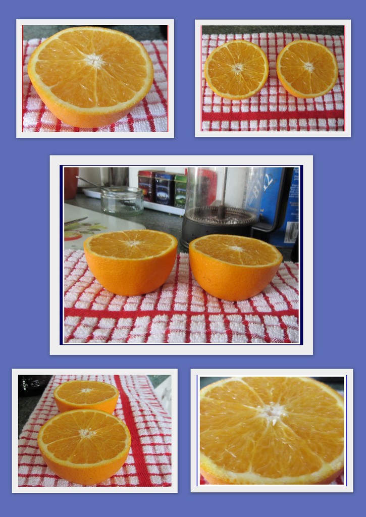 A collage of oranges. by grace55