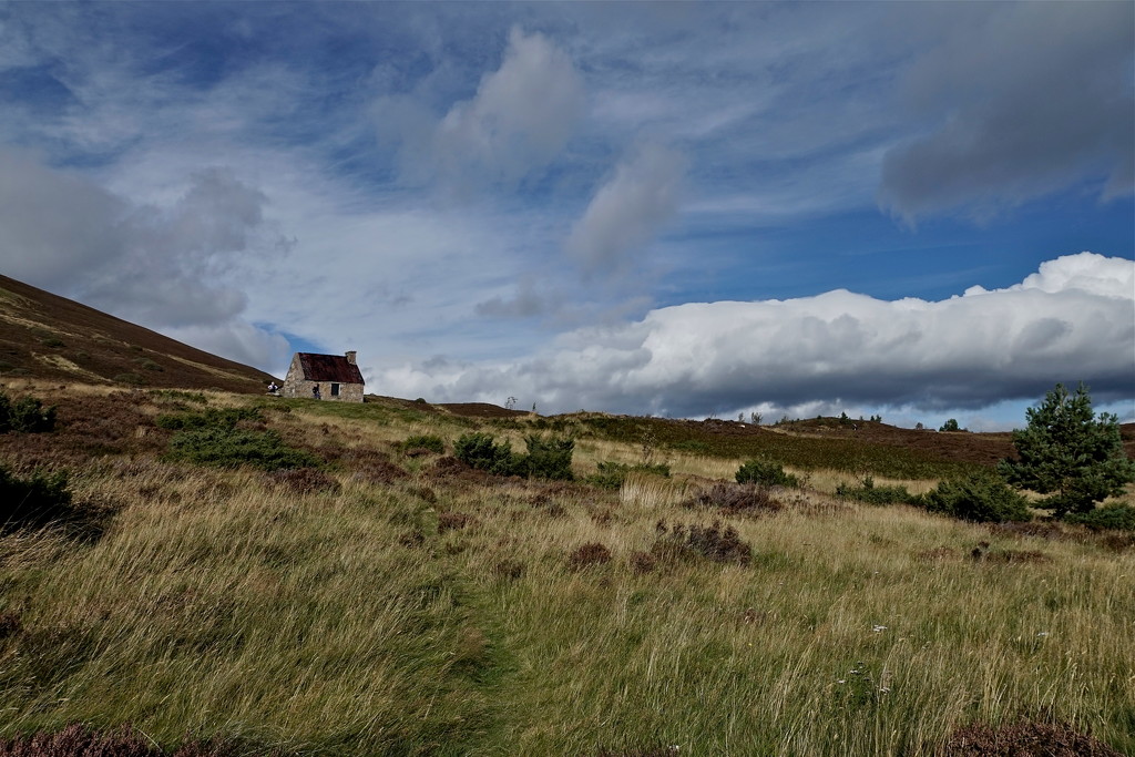 LITTLE BOTHY ON THE MOUNTAIN by markp