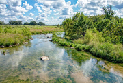 25th Sep 2016 - Pedernales River