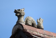 12th Sep 2016 -  Dragon on the Roof