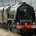 Duchess of Sutherland by fishers