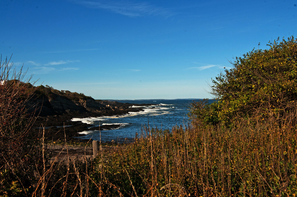 Maine coast in Autumn by dianen