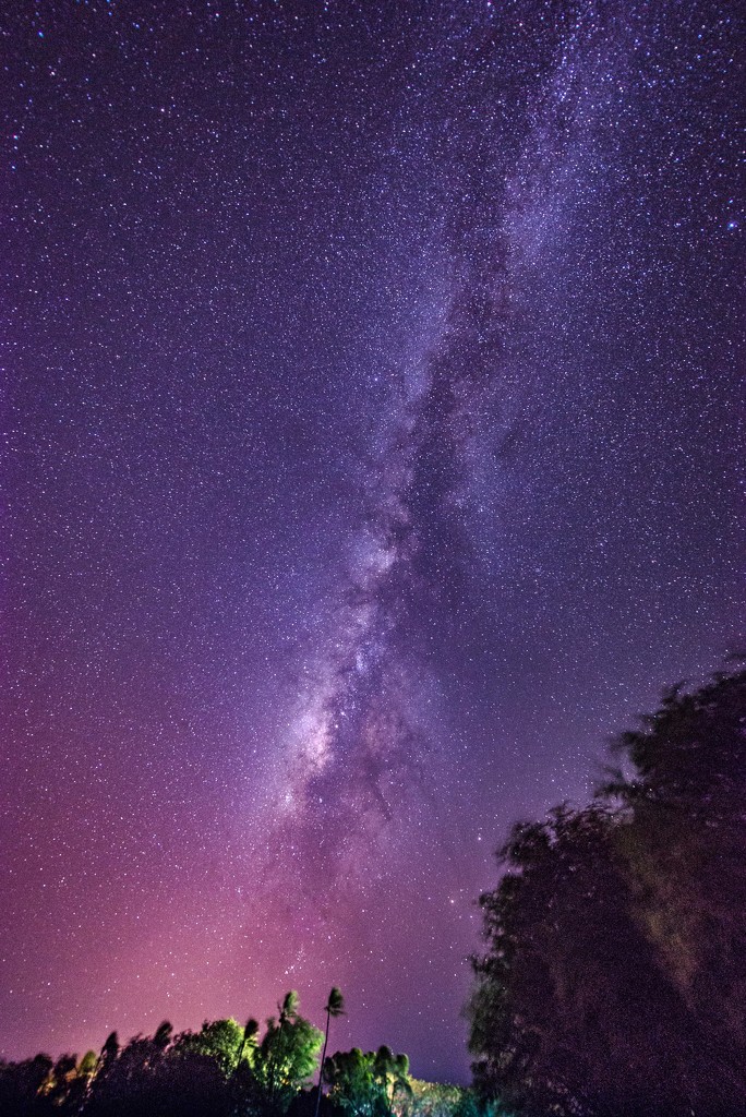 Milky Way Over Kona by taffy