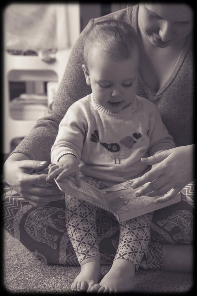 Reading with Jesse  by jodies
