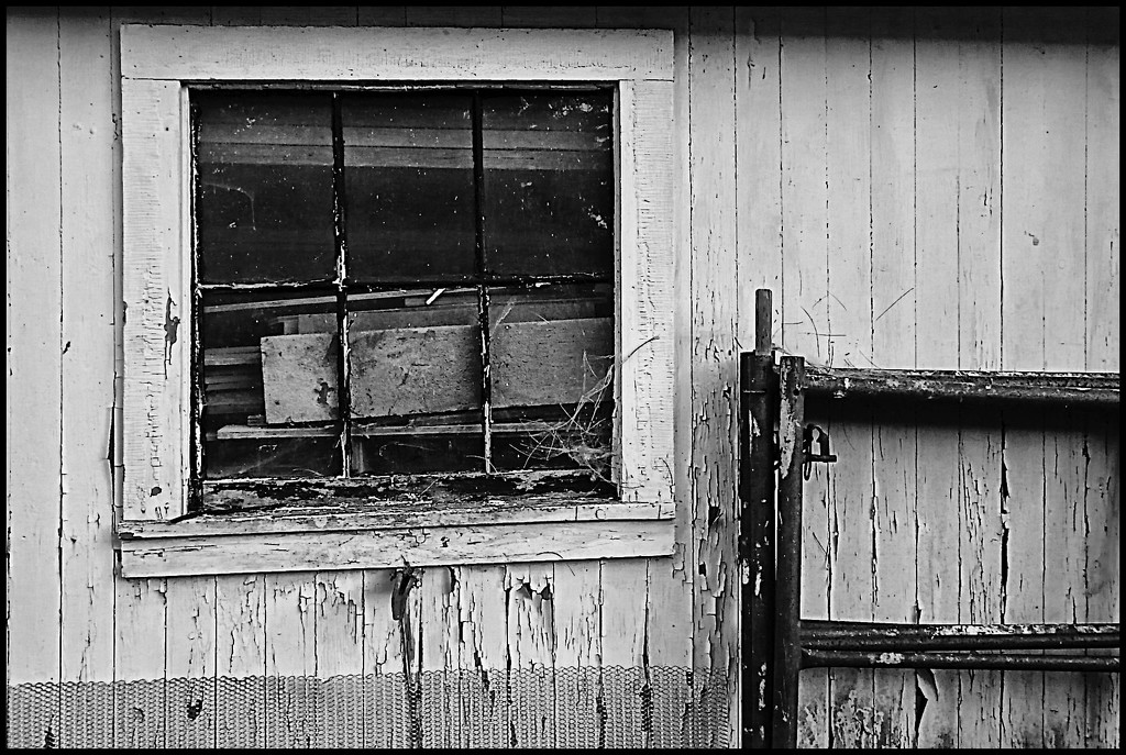 Wood in the Window by olivetreeann