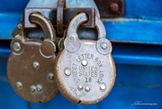 29th Sep 2016 - Locks in Vintage
