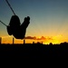 Sunset Swing  by irishmamacita10