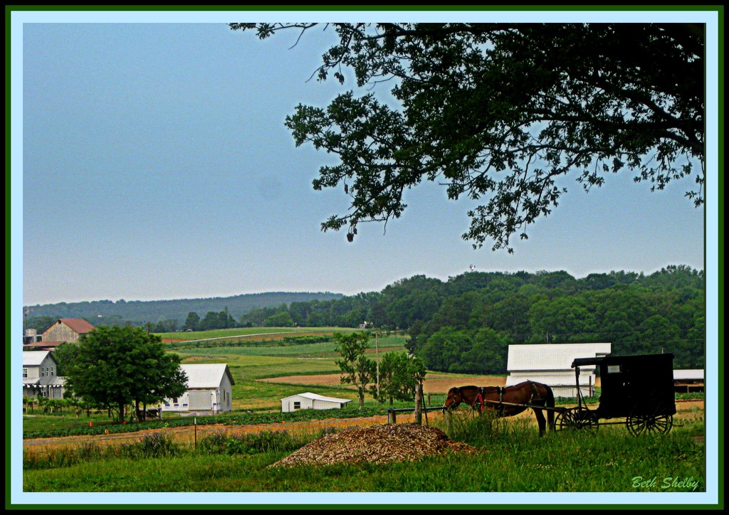 Amish Country by vernabeth
