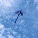 Flying a kite today by lucien