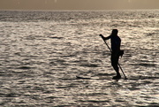 1st Oct 2016 - Paddle boarder