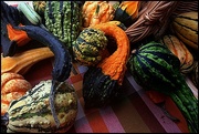 1st Oct 2016 - Gourds at the Market