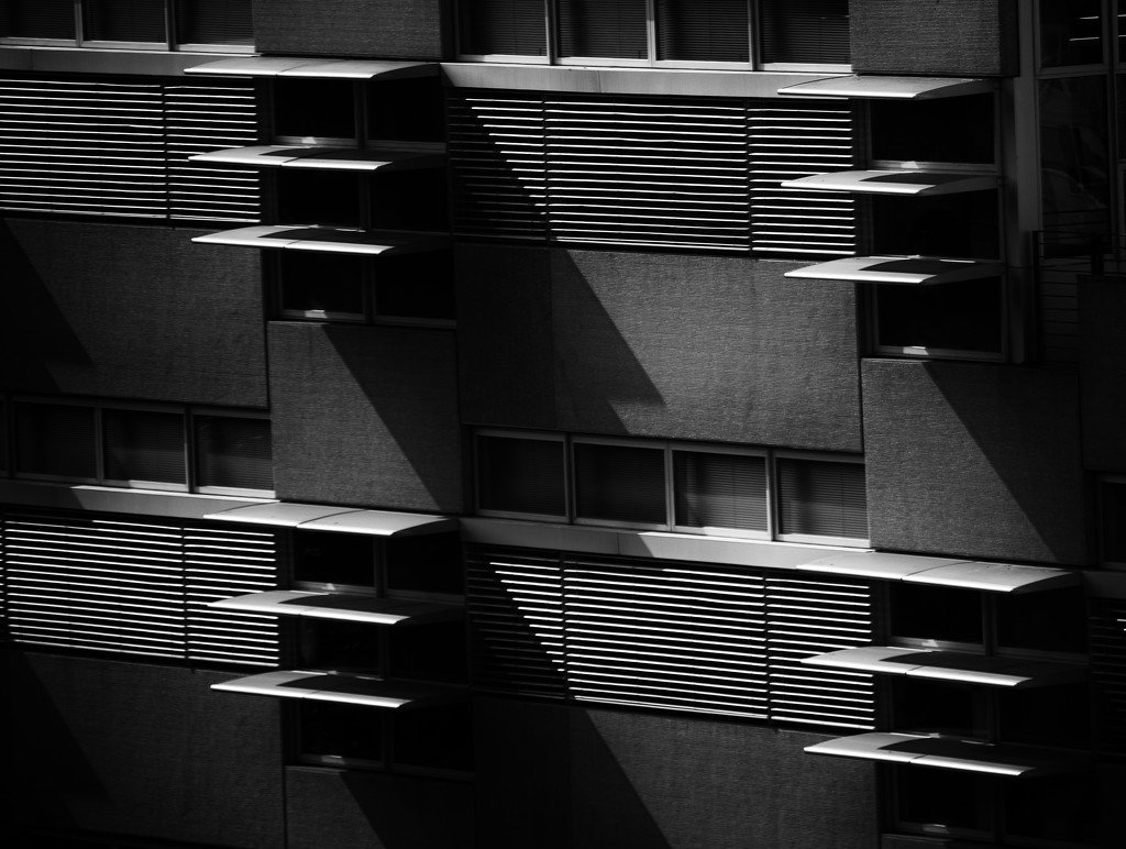 Windows and shadows by nanderson