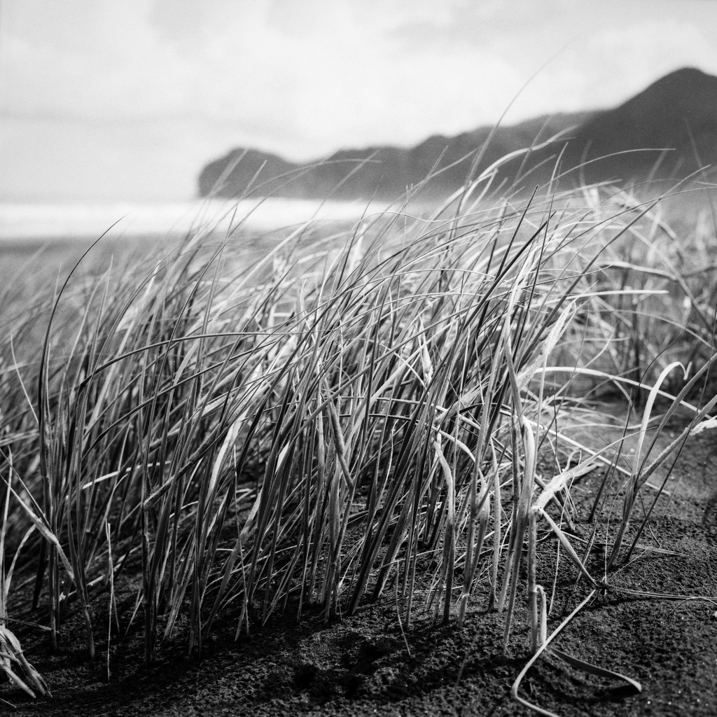 Piha by spanner