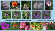 2nd Oct 2016 - Pitmedden blooms and butterflies