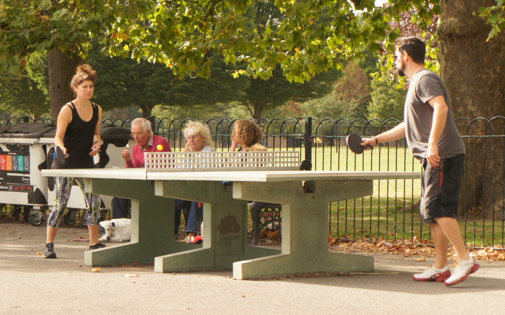 T is for table tennis by boxplayer