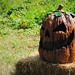 The Great Pumpkin Keeping Watch Over his Patch by alophoto