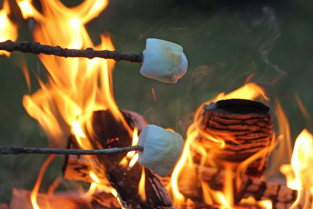 Campfire and Roasted Marshmallows by gaylewood