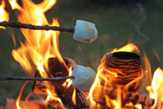 2nd Oct 2016 - Campfire and Roasted Marshmallows