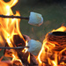 Campfire and Roasted Marshmallows by gaylewood