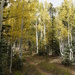 Arizona Trail by joysabin