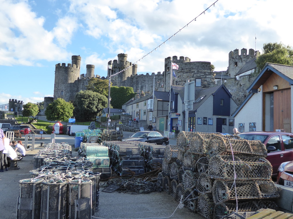 Conwy Harbour by cmp