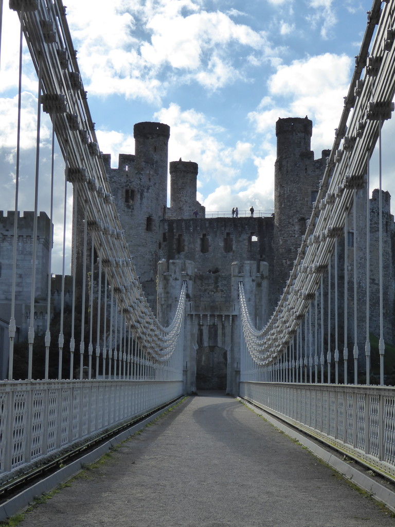 Conwy Castle by cmp