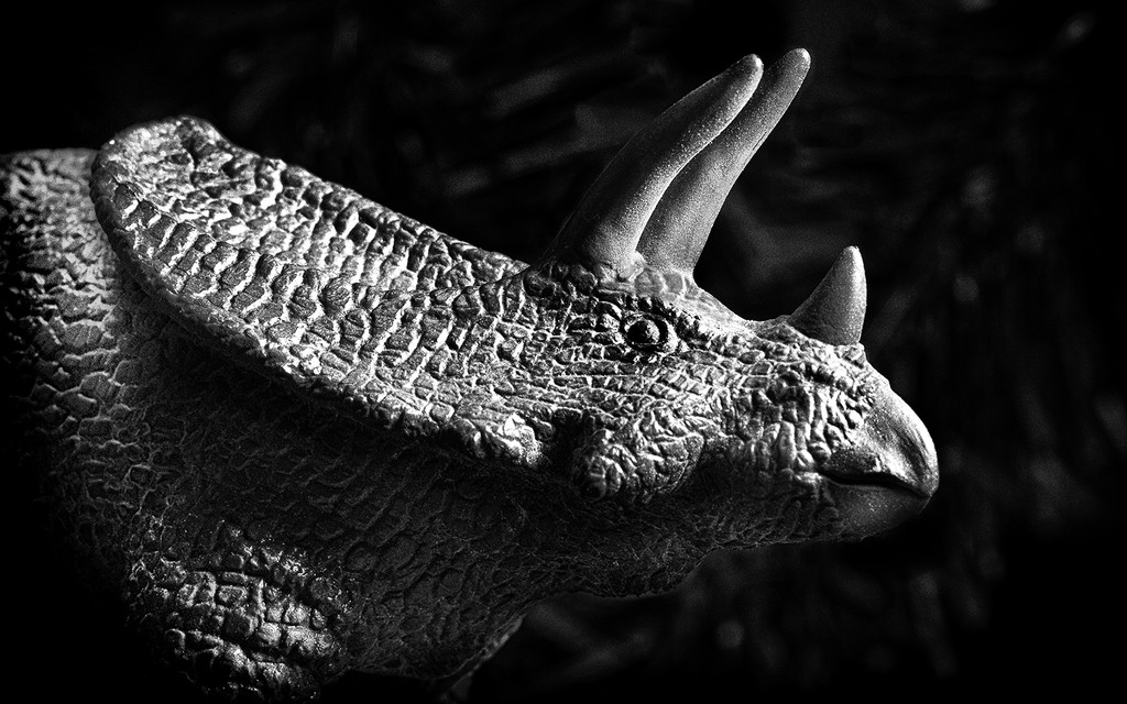 Night of the Triceratops by davidrobinson