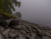 4th Oct 2016 - Foggy Shoreline 