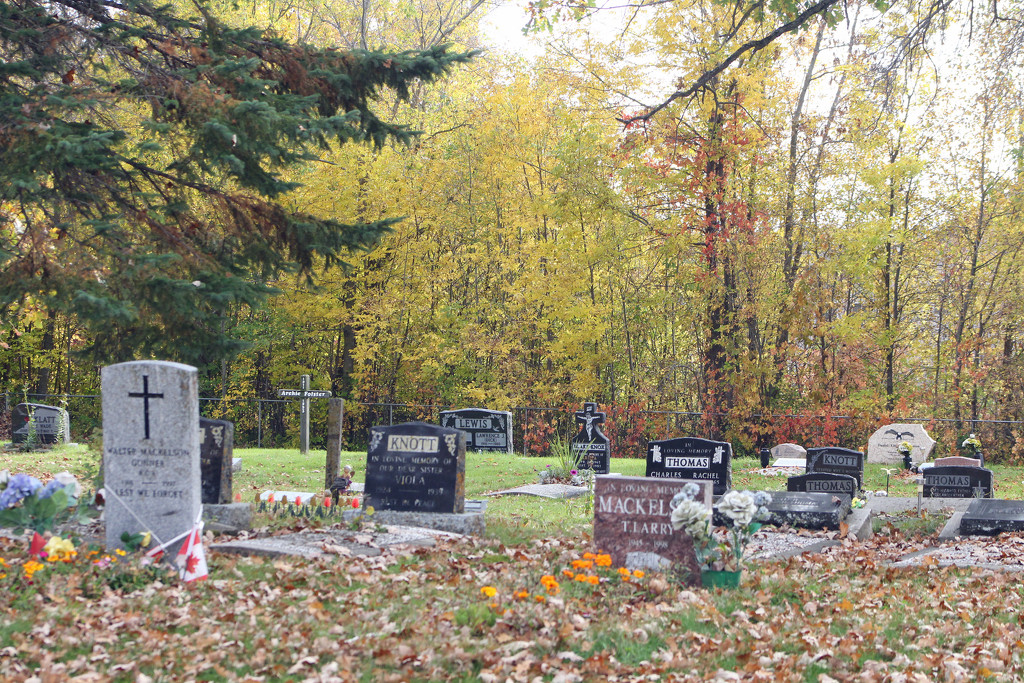 Graveyard by gaylewood