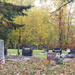 Graveyard by gaylewood