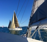 24th Sep 2016 - Sailing on Lake Macquarie