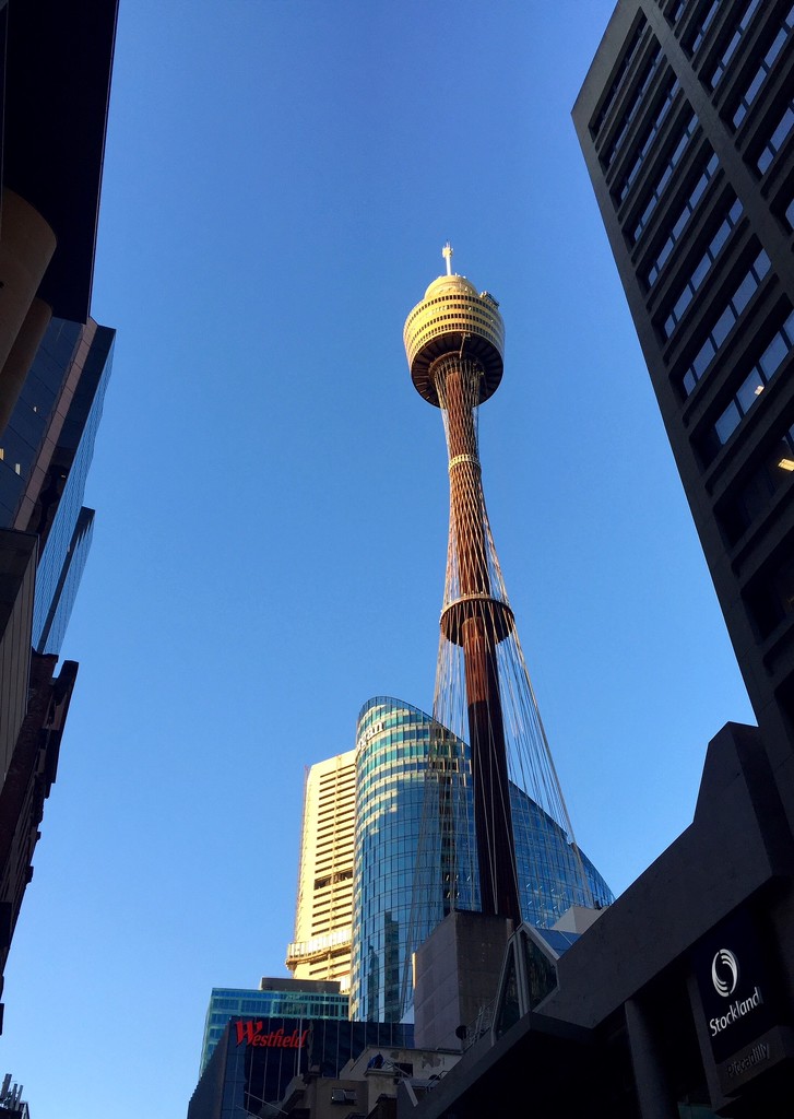 Centrepoint Tower Sydney by susiangelgirl