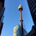 Centrepoint Tower Sydney by susiangelgirl