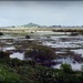 Whangamarino Wetlands by yorkshirekiwi