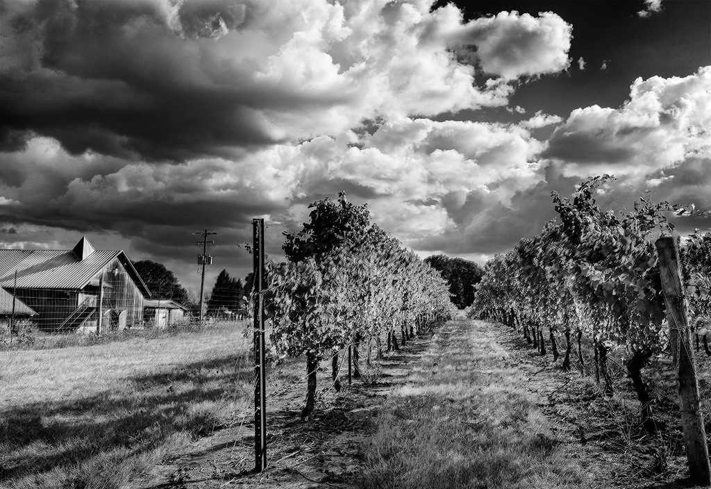 Winery, Clouds and Barn  by jgpittenger