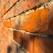 Another brick in the wall by 365projectdrewpdavies
