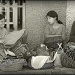banana leaf sellers by miranda
