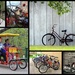 My Favorite Bicycles Photos in a Collage by homeschoolmom