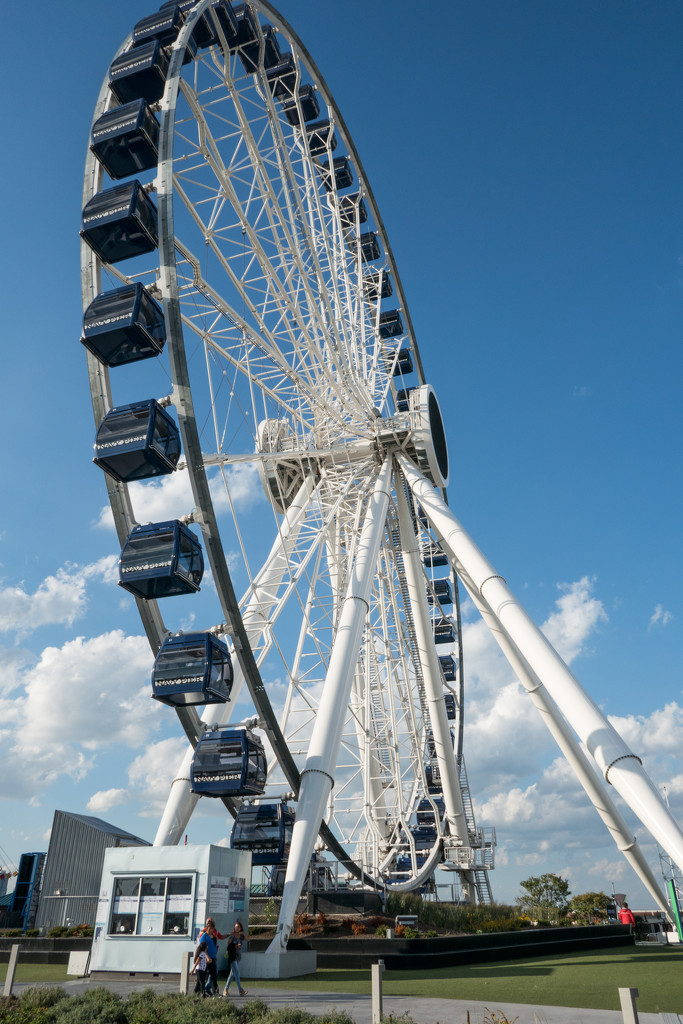 Ferris Wheel by rminer