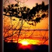 Tennessee Sunset by vernabeth