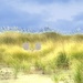 100 Happy Days 9 - Beach chairs in the dune grass by teiko