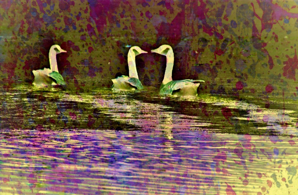 happy goose abstract by lynnz