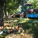Apple harvester by barrowlane