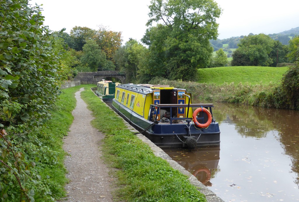   Monmouthshire and Brecon Canal  by susiemc