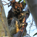 did I hear a camera? by koalagardens