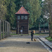285 - Auschwitz by bob65