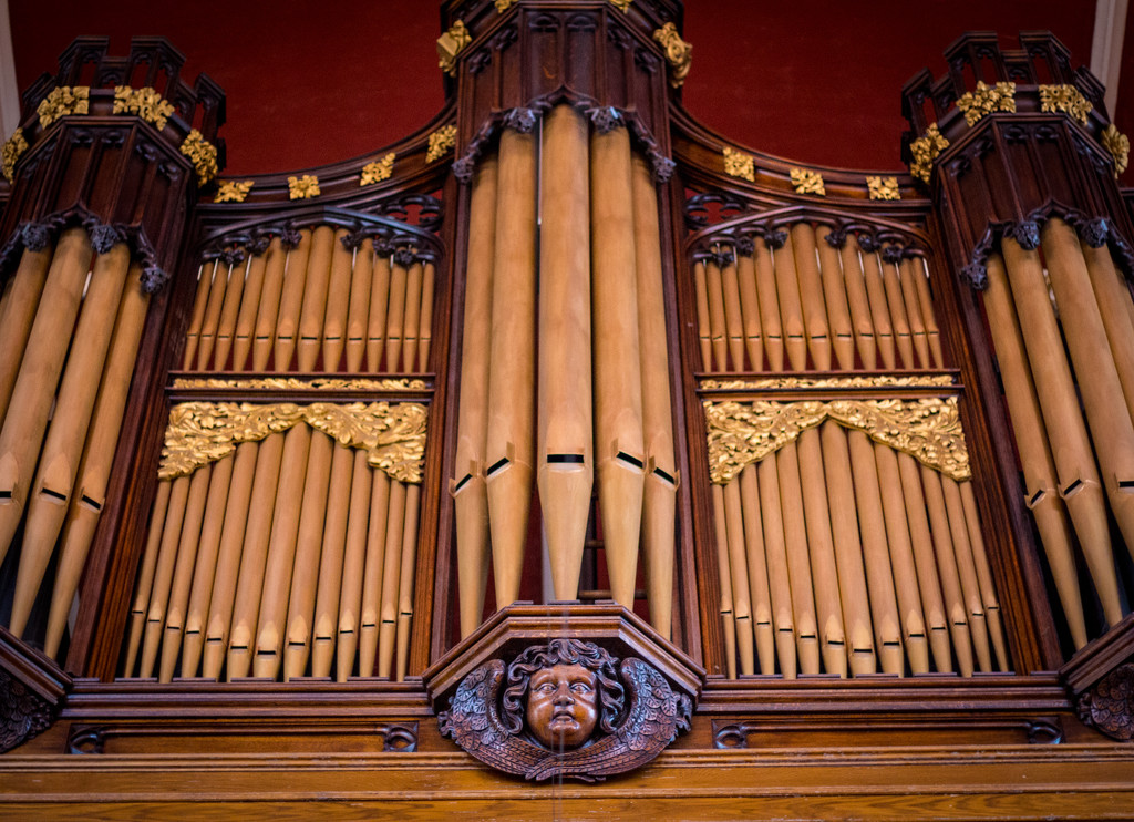 A nice set of organ pipes by swillinbillyflynn
