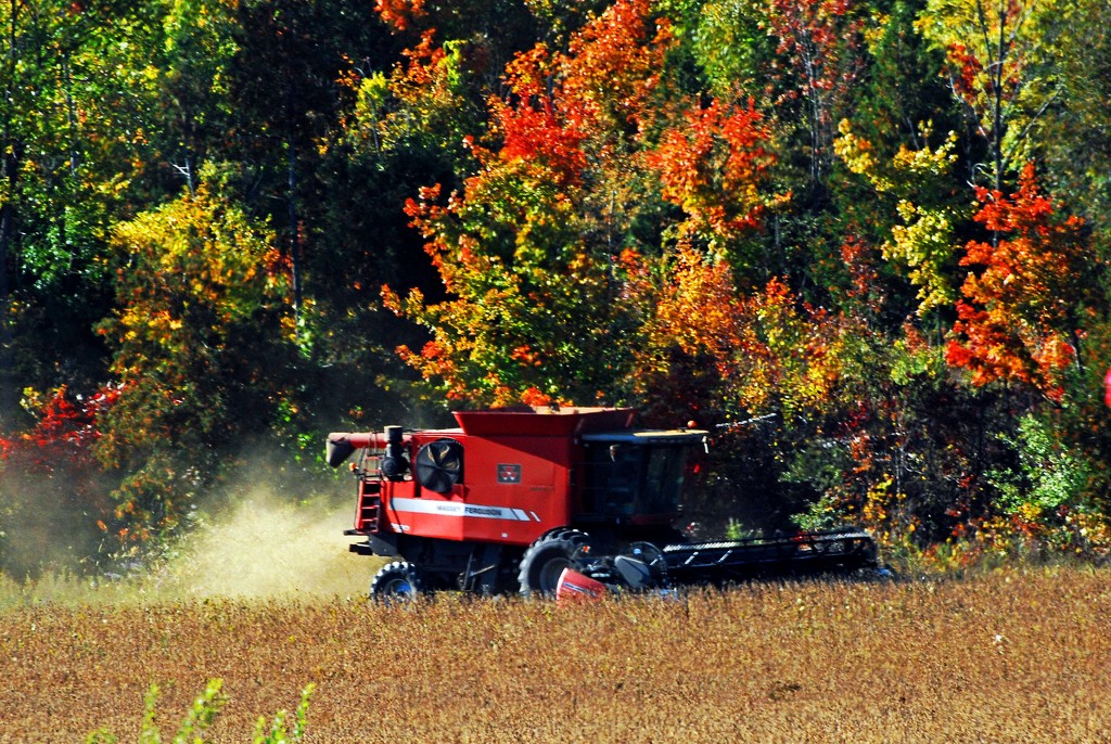 Harvest in Glengarry by farmreporter
