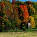 Fall Colours by farmreporter