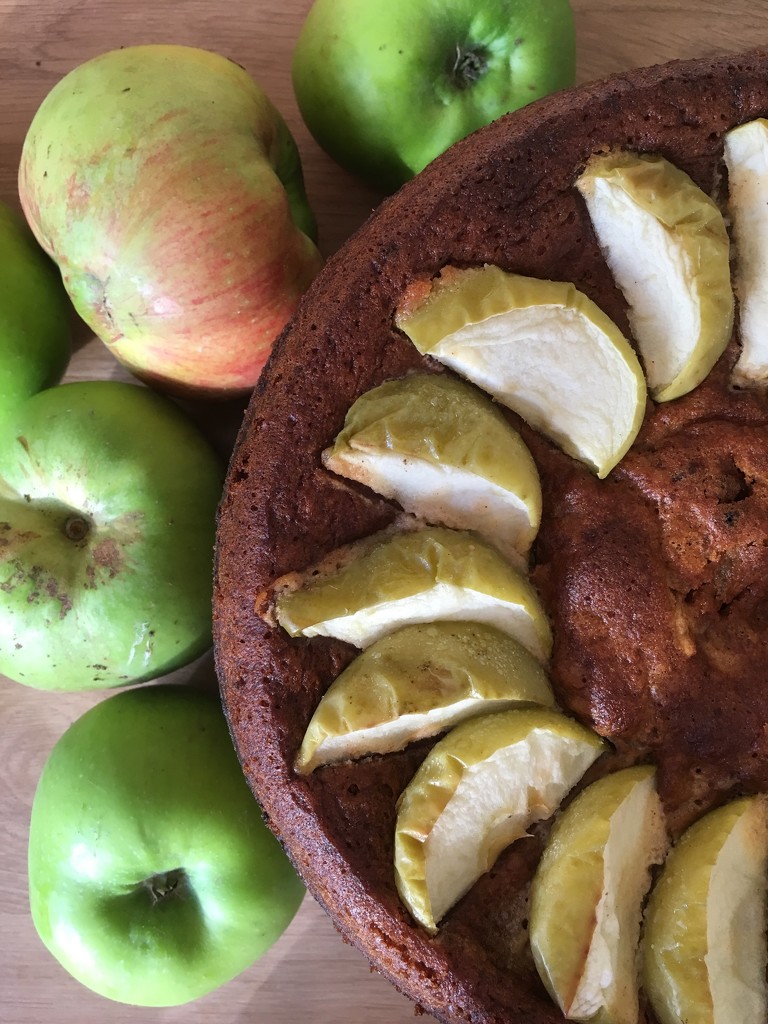 Autumn Apple Cake by cookingkaren